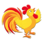 talking rooster android application logo